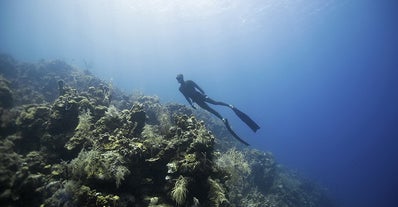 Experience Boracay Island’s colorful marine life up close during this freediving course in the Philippines.