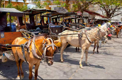 Historical 3-Day Vigan Tour Package at Villa Angela with Traditional Attire Rental - day 2