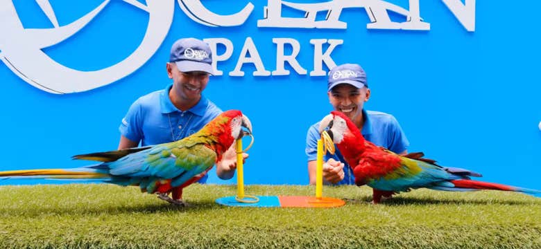 Relaxing 2-Day Staycation Package at Hotel H2O in Manila City with Ocean Park Day Pass