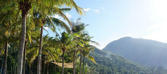 TopBanner_Puerto Galera.jpg