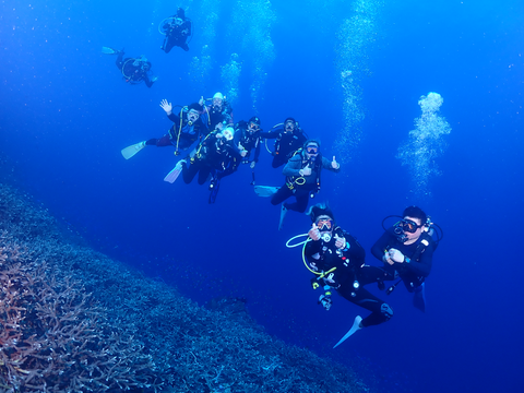 Cebu Bantayan Island 3-Hour Discover Scuba Diving with Divemaster Assistance, Gear & Boat Transfers