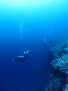 Cebu Bantayan Island 2-Hour Fun Dive with Divemaster Assistance, Gear & Boat Transfers