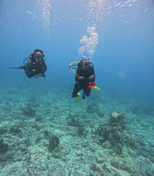 Cebu Bantayan Island 2-Hour Fun Dive with Divemaster Assistance, Gear & Boat Transfers