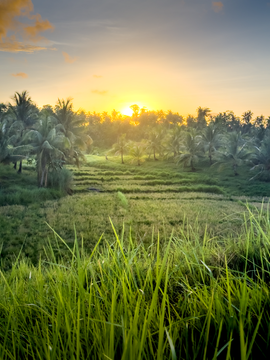 Siargao Electric Skateboard Sunset Tour with Guide & Safety Gear
