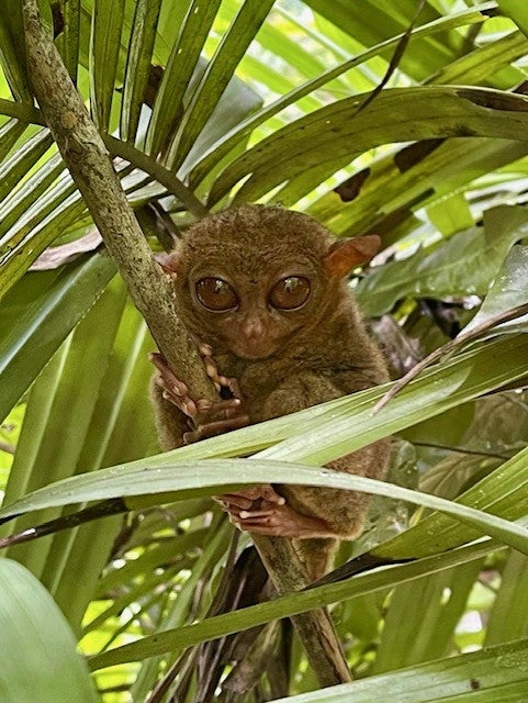 Travel Associates - Sam Venditti