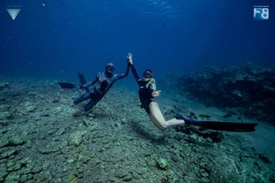 Enjoy an unforgettable freediving course in Batangas Province with friends.