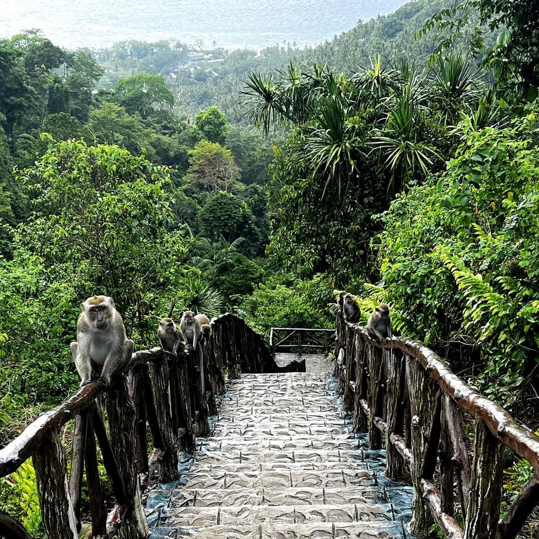 Epic 7-Day Mindanao Region Cultural & Island Hopping Tour Package - day 5