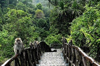 Epic 7-Day Mindanao Region Cultural & Island Hopping Tour Package - day 5