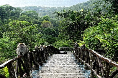 Epic 7-Day Mindanao Region Cultural & Island Hopping Tour Package - day 5