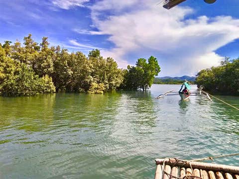 Capiz Bamboo Raft River Cruise with Transfers from Roxas | Panay River, Capiz Bay & Mangrove Forest
