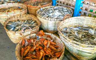 Banica dried fish market