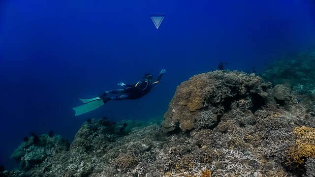 Epic 3-Day Batangas Zero to Hero Freediving Program Package with Accommodations, Meals & Gear Rental