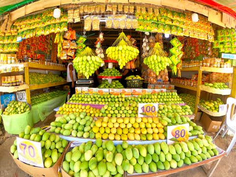 Private Guimaras Tour to Top Attractions & Mango Food Spots with Sea Transfers from Iloilo & Snacks