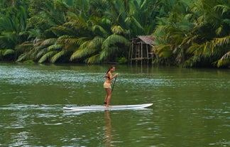 Enjoy one hour of stand up paddling along Loboc River