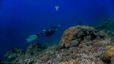 Amazing 2-Day Batangas Freediving Open Water Course Package with Accommodations, Meals & Gear Rental