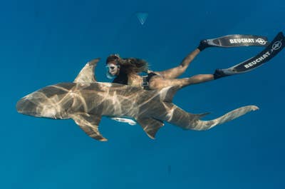 Amazing 2-Day Batangas Freediving Open Water Course Package with Accommodations, Meals & Gear Rental - day 1