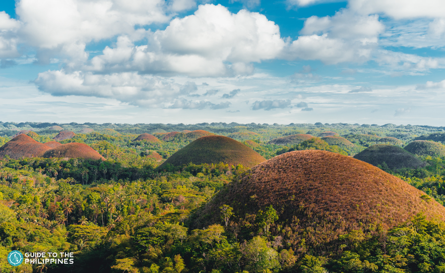 Chocolate Hills in Bohol Chocolate Hills in Bohol