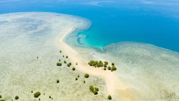 Enjoy the sandbar at Luli Island on this Puerto Princesa Palawan package