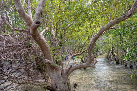 Fun-filled 2-Day Anda Bohol Sightseeing Package with Accommodations, Meals & Countryside Tour