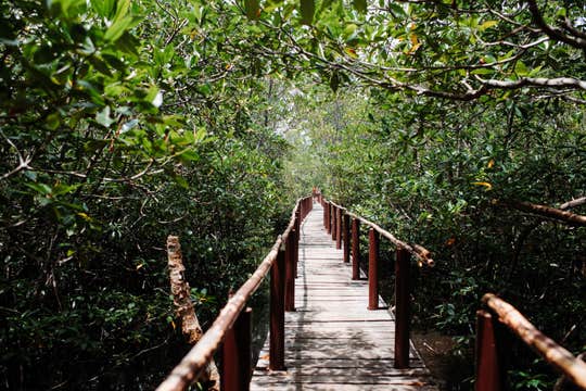 Fun-filled 2-Day Anda Bohol Sightseeing Package with Accommodations, Meals & Countryside Tour