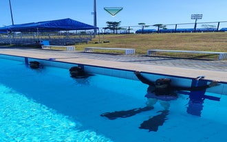 Learn from the experts with this Manila freediving workshop