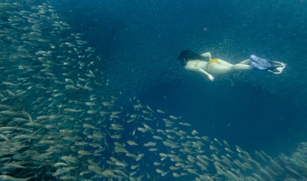 Pescador Island-Hopping Tour