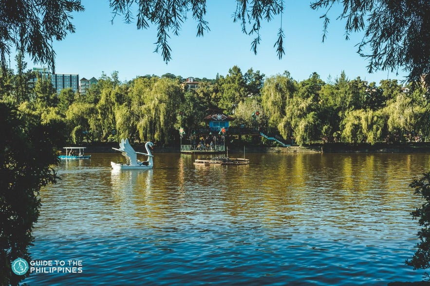 Swan boats in Burnham Park, Baguio Swan boats in Burnham Park, Baguio
