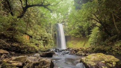 Marvel at the beauty of Buruwisan Falls during this Mount Romelo hike