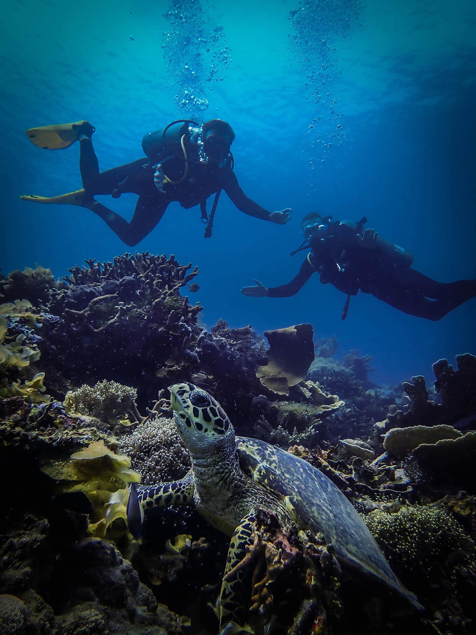 Scuba diving in Coron, Palawan