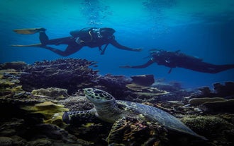 Scuba diving in Coron, Palawan