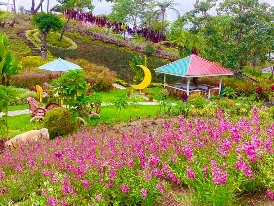 Gantao Hills Flower Garden Gantao Hills Flower Garden