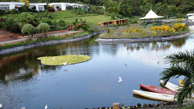 Iloilo Province Tour to Garin Farm, Molo and Miag-ao Churches & Esplanade Baywalk