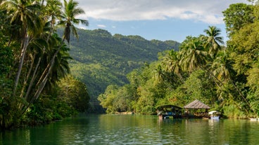 Bohol Countryside Private Day Tour with Shared River Cruise Lunch & Transfers