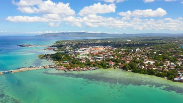 Bohol Tagbilaran City Half Day Private Historical and Cultural Tour with Transfers