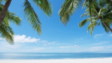 Private Bohol Panglao Island Tour with Lunch & Transfers