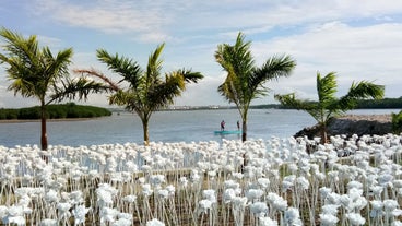 10,000 Roses Cafe in Cebu Island