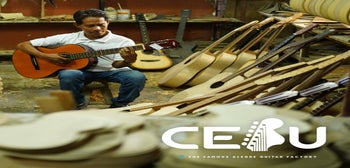 Alegre Guitars