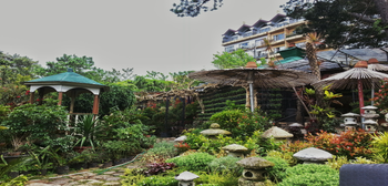 Orchidarium