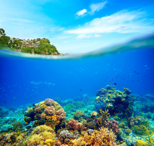 Coral Garden, Boracay