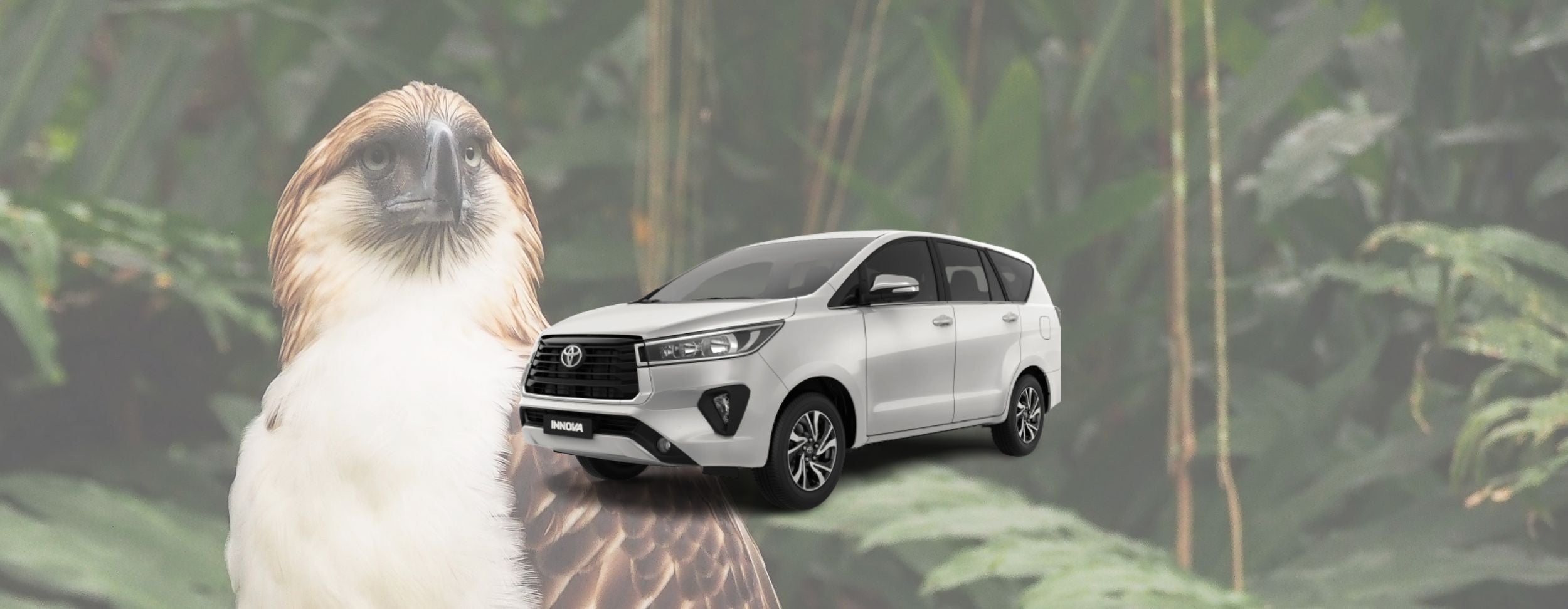 Davao International Airport to or from Any Davao City Hotel Private Transfer Service