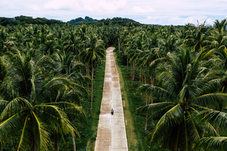 This motorbike rental in Siargao Island lets you experience the stunning views along Coconut Road effortlessly.
