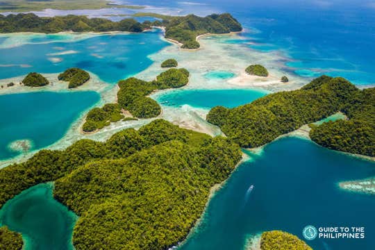 Transfer Between Siargao Island Airport and Any Hotel in General Luna Town