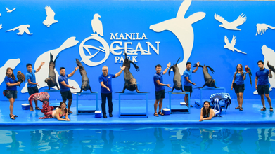 Manila Ocean Park Show