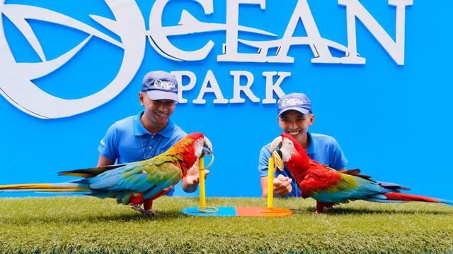 Manila Ocean Park Day Pass