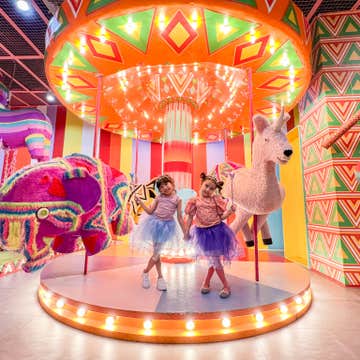 Dessert Museum Day Pass