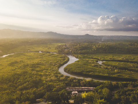 Private Firefly Watching in Bohol Island with Transfers