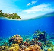 Coral Garden Boracay