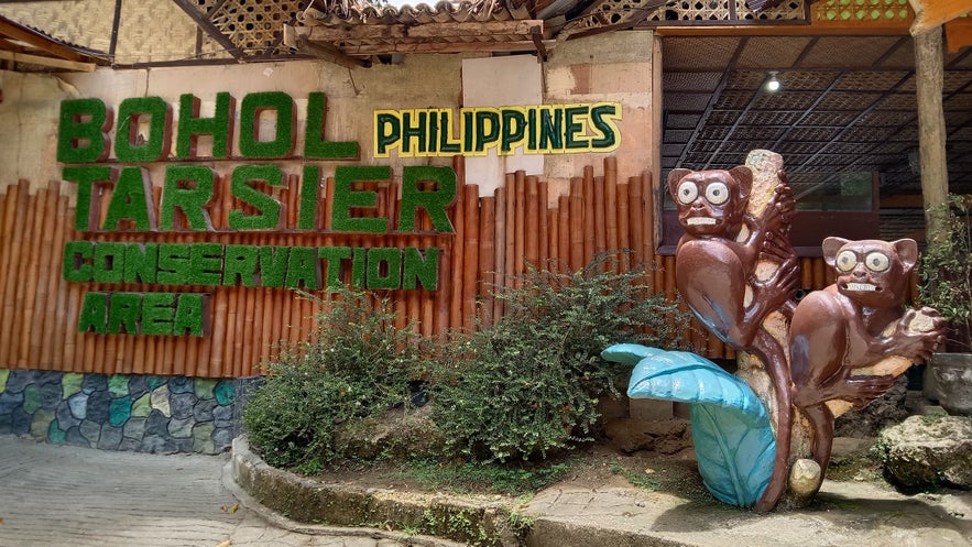 Bohol Tarsier Conservation Area Bohol Tarsier Conservation Area