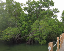 Lugutan Mangrove Park