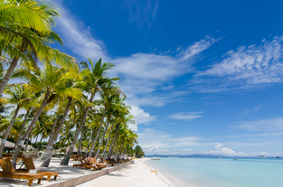 Bohol Island